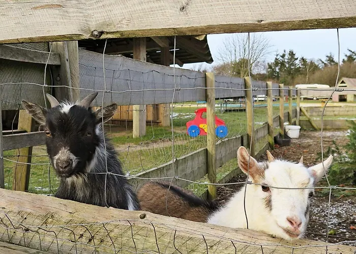 4 Person In 스트루에르